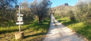 path to oliomancini